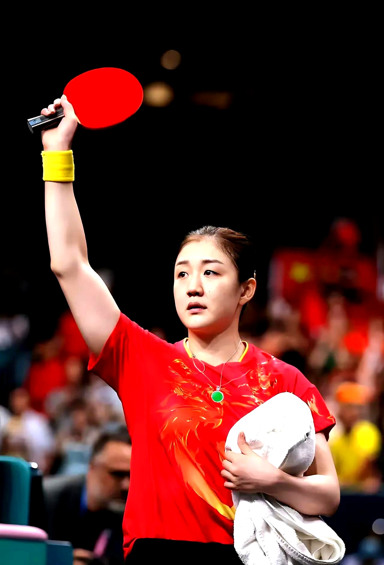 雷速足球直播平台-比利时乒乓球队绝地反击中国乒乓球队，水谷隼统治全场