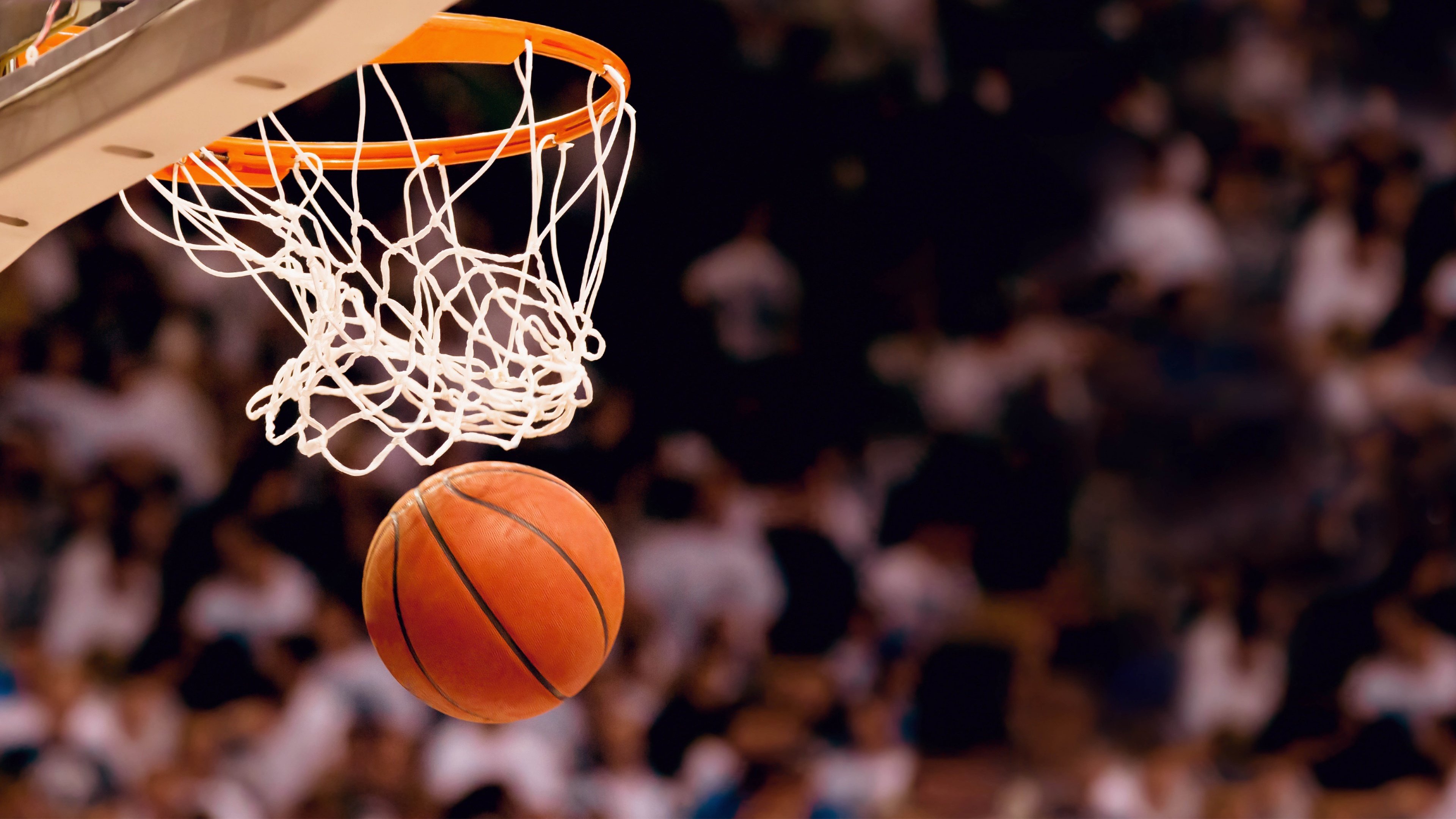 雷速体育比分直播-碾压与绝杀，当灰熊的钢铁洪流撞上湖人的紫金黄昏，戈贝尔用一球定了乾坤